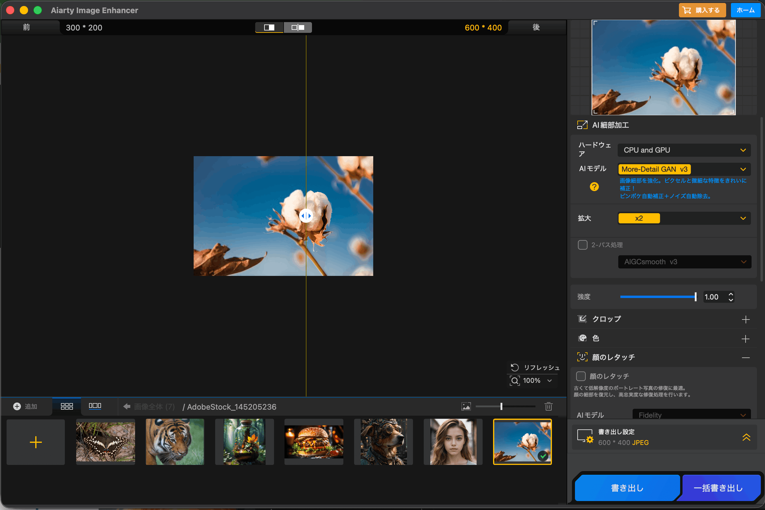 Aiarty Image Enhancerの処理画面。AIモデルや拡大率の設定パネルが表示されている