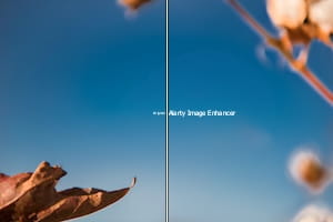 AI消しゴムの2回目の結果。綿花がきれいに消え、背景が自然に埋まっている